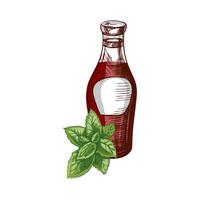 Hand-drawn colored sketch of ketchup or sauce in a glass jar and a bunch of mint. For the design of the menu of restaurants and cafes, grilled food. vector