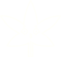 dessin à la craie de feuilles png