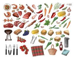 A set of colored and monochrome hand-drawn sketches of barbecue and picnic elements. For design of menu of restaurants and cafes, grilled food. Vintage illustration. Engraved image. vector