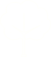 Tree Chalk Drawing png