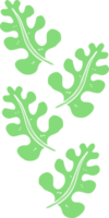 flat color illustration of leaves png