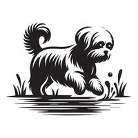 Maltese Playing in Water illustration in black and white vector