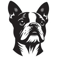 perro logo - un estoico bostón terrier perro cara ilustración en negro y blanco vector