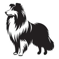 Shetland perro pastor - un sheltie anhelante vigilante ilustración en negro y blanco vector