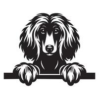 illustration of a Afghan Hound Dog Peeking face in black and white vector