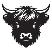 Highland cattle - A cautious Highland Cow face illustration in black and white vector