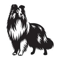 Shetland perro pastor - un orgulloso sheltie perro cara ilustración en negro y blanco vector