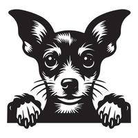 Dog Peeking - Rat Terrier Dog Peeking face illustration in black and white vector