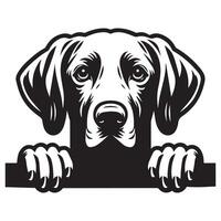 Dog Peeking - Weimaraner Dog Peeking face illustration in black and white vector