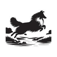 Shetland perro pastor - un sheltie saltos terminado el corriente de agua ilustración en negro y blanco vector