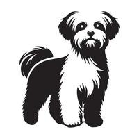 Inquisitive Maltese Tilted Head illustration in black and white vector