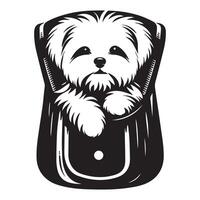 Maltese Peeking from a Cozy Bag illustration in black and white vector