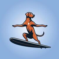 Dog playing surfboards - Rhodesian Ridgeback Dog Surfing illustration vector