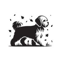 Maltese Walking Through Autumn Leaves illustration in black and white vector