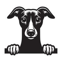 Dog Peeking - Whippet Dog Peeking face illustration in black and white vector