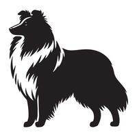 Shetland perro pastor - un sheltie en pie alerta ilustración en negro y blanco vector