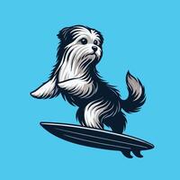 illustration of A Havanese Dog playing surfboards vector