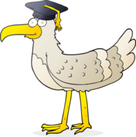 hand drawn cartoon seagull with graduate cap png