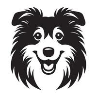 Shetland Sheepdog - A Amused Sheltie dog face illustration in black and white vector