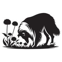 Shetland perro pastor -a sheltie olfateando flores en un jardín ilustración en negro y blanco vector
