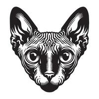 Cat - A Sphynx cat face illustration in black and white vector