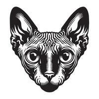 gato - un sphynx gato cara ilustración en negro y blanco vector