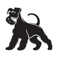 Miniature Schnauzer In a playful stance illustration in black and white vector