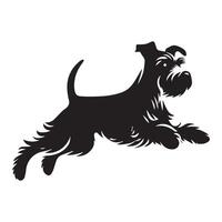 illustration of a Beach Run Miniature Schnauzer in black and white vector