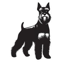 illustration of a Confident Miniature Schnauzer in Urban Setting in black and white vector