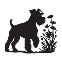 un miniatura Schnauzer curiosamente olfateando a flores ilustración en negro y blanco vector