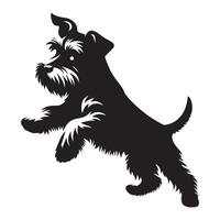 miniatura Schnauzer explorador nuevo terrenos con entusiasmo ilustración en negro y blanco vector