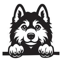 Dog Peeking - Siberian Husky Dog Peeking face illustration in black and white vector