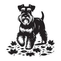 Miniature Schnauzer walking over the leaves illustration in black and white vector