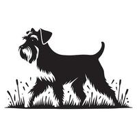 Mañana caminar Schnauzer ilustración en negro y blanco vector