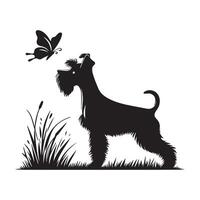 A Miniature Schnauzer a butterfly in a field illustration in black and white vector