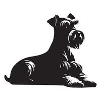 Miniature Schnauzer Lying down in black and white vector