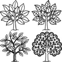 Guava tree coloring pages. Tree outline for coloring book vector