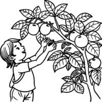 Guava tree coloring pages. Tree outline for coloring book vector