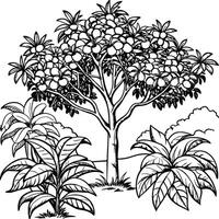 Guava tree coloring pages. Tree outline for coloring book vector