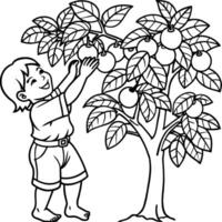 Guava tree coloring pages. Tree outline for coloring book vector