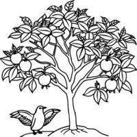 Guava tree coloring pages. Tree outline for coloring book vector