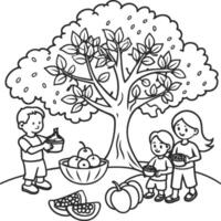 Guava tree coloring pages. Tree outline for coloring book vector