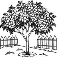 Guava tree coloring pages. Tree outline for coloring book vector