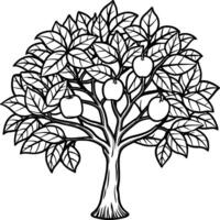 Guava tree coloring pages. Tree outline for coloring book vector