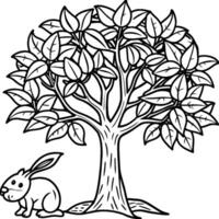 Guava tree coloring pages. Tree outline for coloring book vector