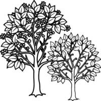 Guava tree coloring pages. Tree outline for coloring book vector