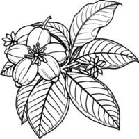 Guava tree coloring pages. Tree outline for coloring book vector