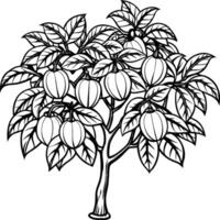 Guava tree coloring pages. Tree outline for coloring book vector