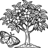 Guava tree coloring pages. Tree outline for coloring book vector