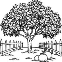 Guava tree coloring pages. Tree outline for coloring book vector